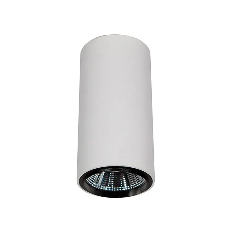 Cilindro 10W Blanco mate 24º 4000K Precio Económico