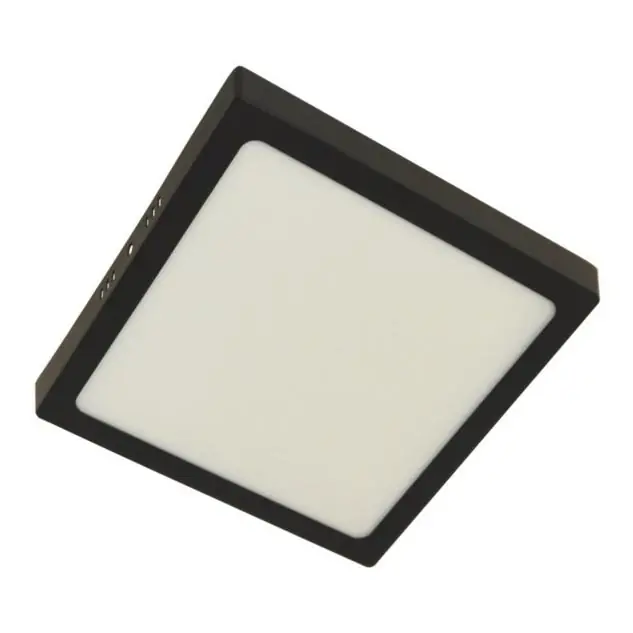 Plafón LED GERRY LED/18W/230V 4000K negro Oferta Especial