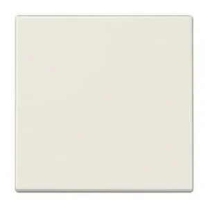 TECLA PARA INTERRUPTOR CONMUTADOR BLANCO MARFIL Descuento