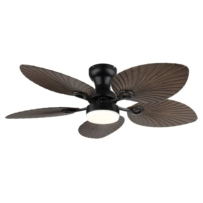 Lámparas Globo Lighting Elise lámpara ventilador de techo LED Crudo, Negro, 1 luz, Mando a distancia Alta Calidad