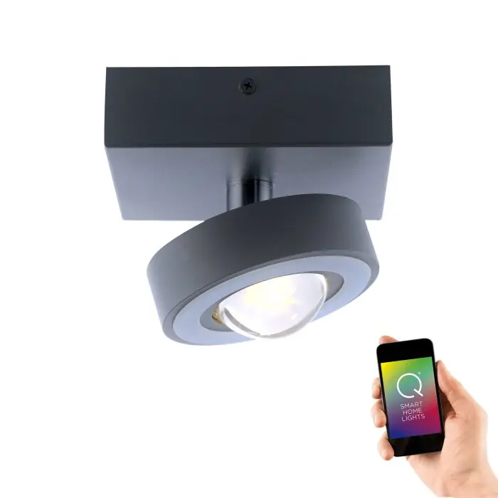 Garantía De Devolución De Dinero Lámpara de Techo Paul Neuhaus Q-MIA LED Antracita, 1 luz, Mando a distancia