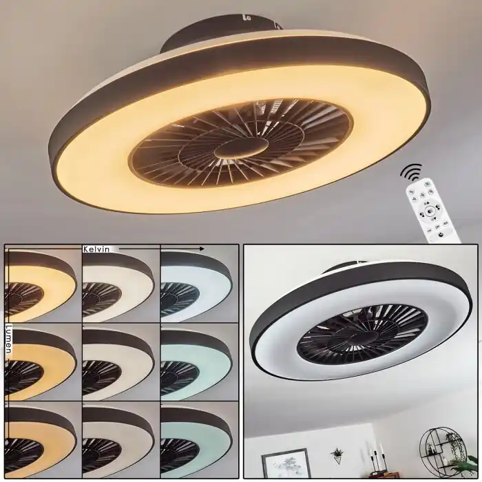 Oferta Especial Qualiano Ventilador de techo LED Negro, Blanca, 1 luz, Mando a distancia