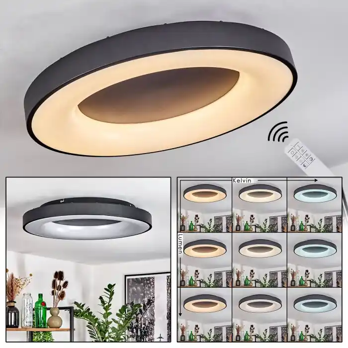 Sachseln Lámpara de Techo LED Negro, 1 luz, Mando a distancia Precio De Fábrica