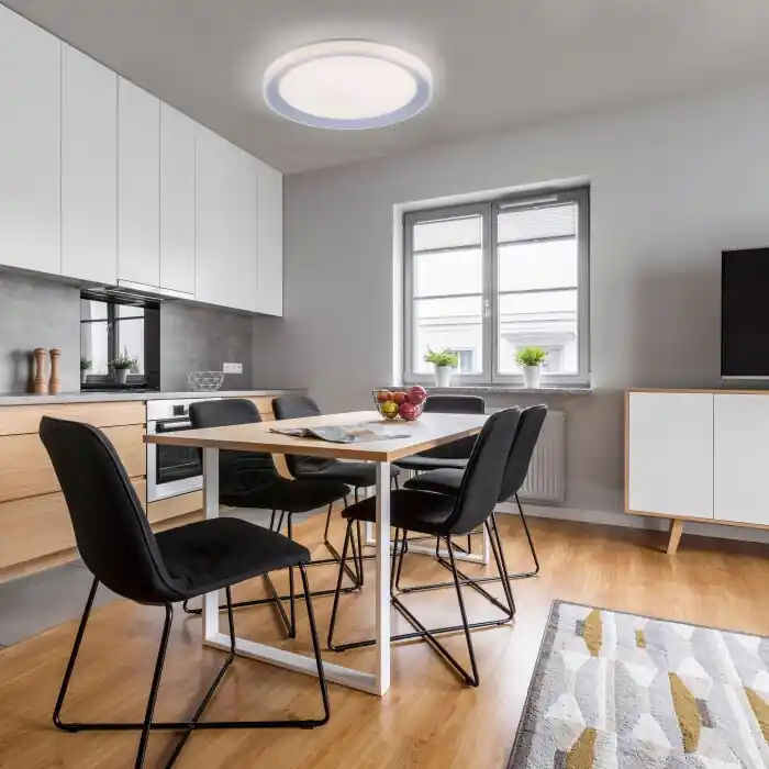 Última Oportunidad Leuchten-Direkt LOLAsmart-LENI Lámpara de Techo LED Plata, 1 luz, Mando a distancia, Cambia de color