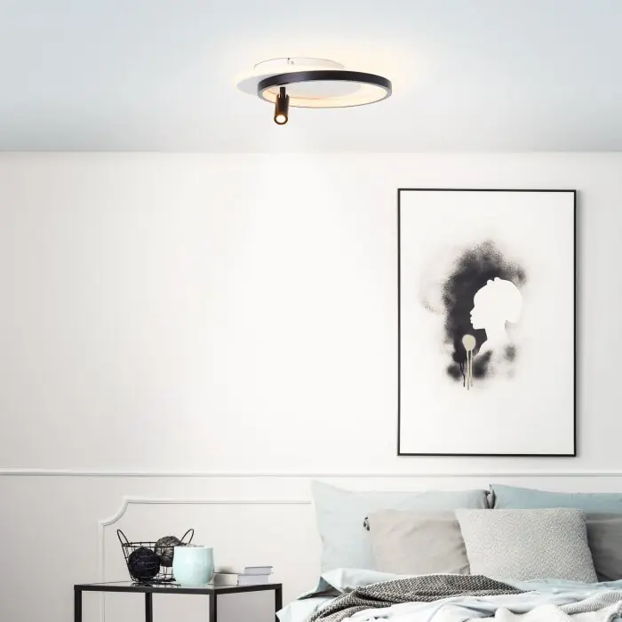 Brilliant Eunomia Lámpara de Techo LED Negro, Blanca, 1 luz Devolución Gratuita
