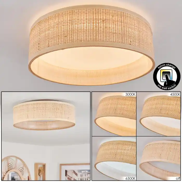 Wynona Lámpara de Techo LED Blanca, 1 luz Solo Por Tiempo Limitado