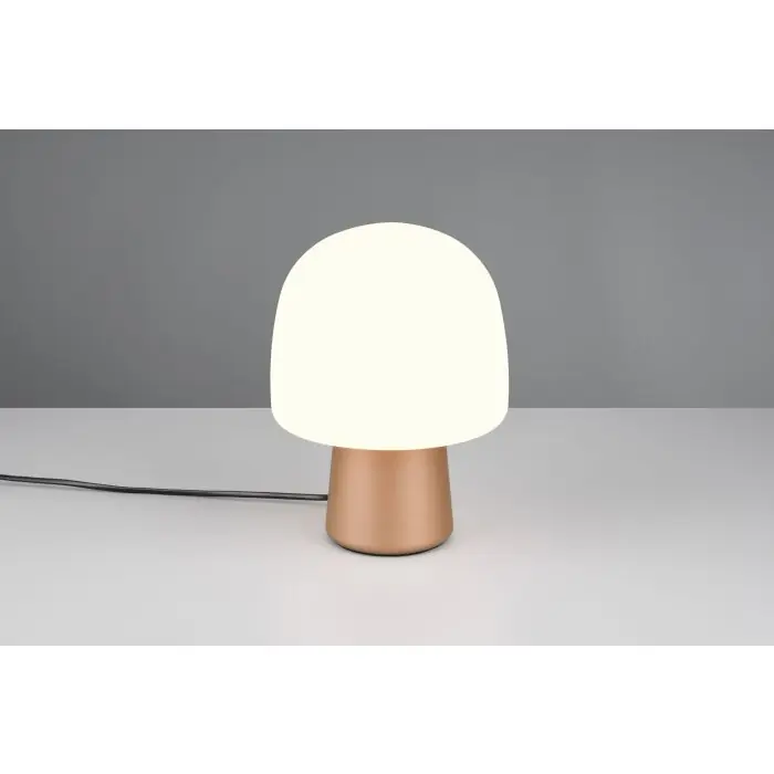 Alta Calidad Lámpara Champiñón Lámparas Trio Steen Lámparas de mesa Marrón, 1 luz