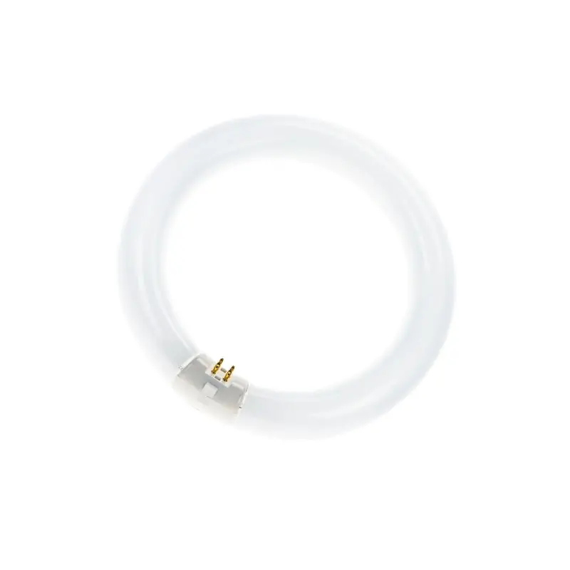 T9 Circline | 40W | G10Q | 840 Blanco frío Stock Limitado
