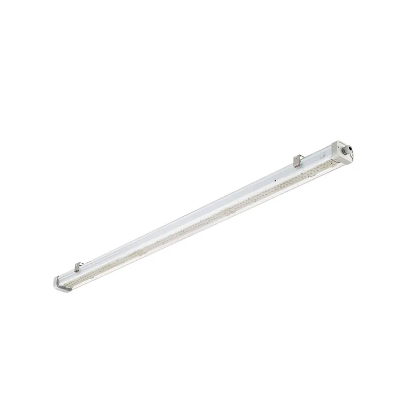 Philips Pantalla LED Estanca Pacific WT475C 45.5W 6200lm - 840 Blanco Frio | 180cm - Dali Regulable Liquidación