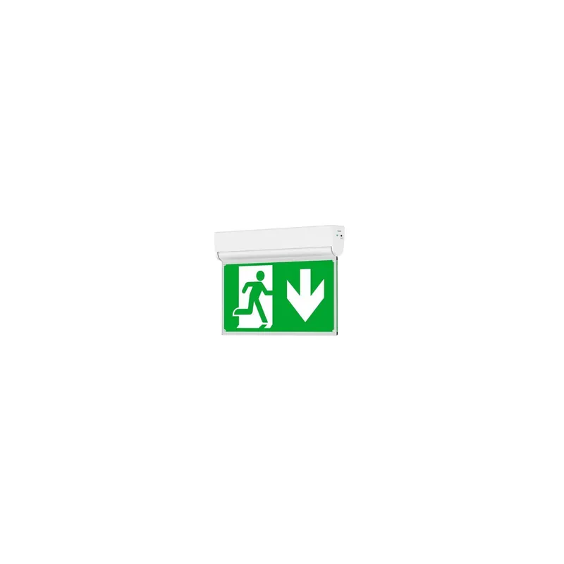 Favorito De Clientes Dotlux LED Emergencia Señal De Salida Exit Flip Blanco 2.5W 18lm | IK10 - Luz De Emergencia 3 Horas - Incl. 6 Pictograms - Cinema Mode