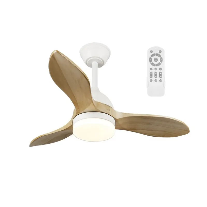 Ventilador de techo LED Tasme CCT Dim (20W) Venta Final
