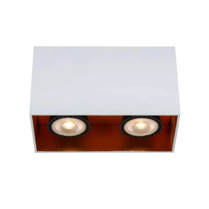 Regletté de plafond Bido (2 lumieres) A Buen Precio