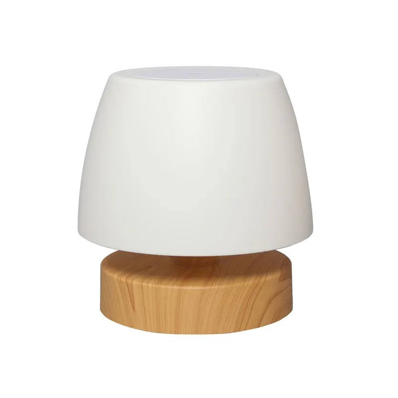Stock Limitado Lampe de table rechargeable LED Lil (3W)